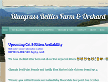 Tablet Screenshot of bluegrassbelties.com
